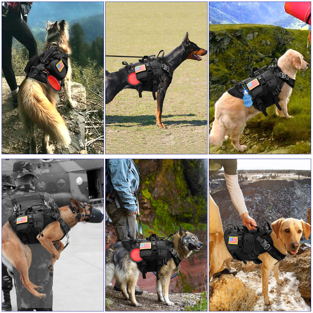 Dog outdoor vest tactical suit – Tactical Gear for Modern Vikings - Raven Supply Company