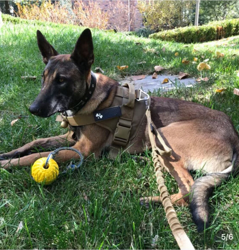 Tactical Dog Leash, Adjustable Military Tactical Collar For Medium And Large Pets, Walking Training, Tactical Dog Leash - Raven Supply Company