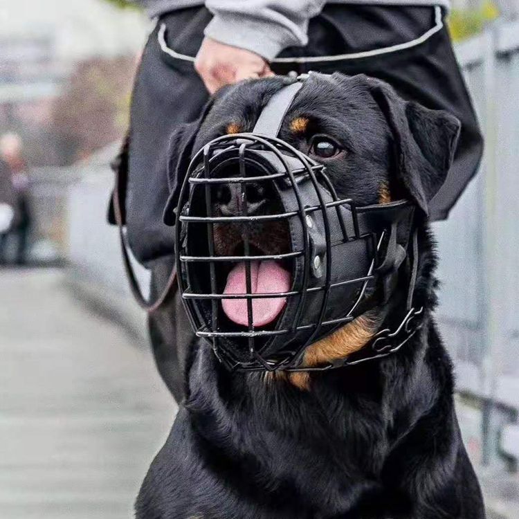 Tactical Mouth Cage Horse Dog Golden Retriever Demu Impact Muzzle - Raven Supply Company