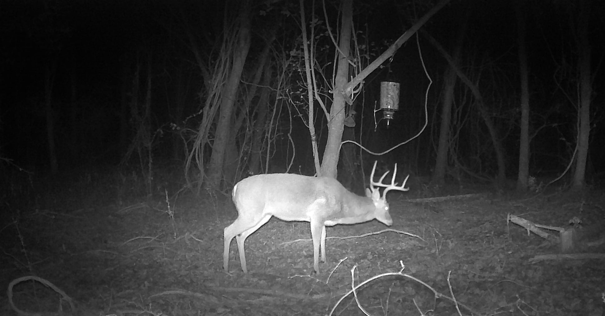 Infrared Night Vision Scope 4.5X with Low Light CMOS - Raven Supply Company