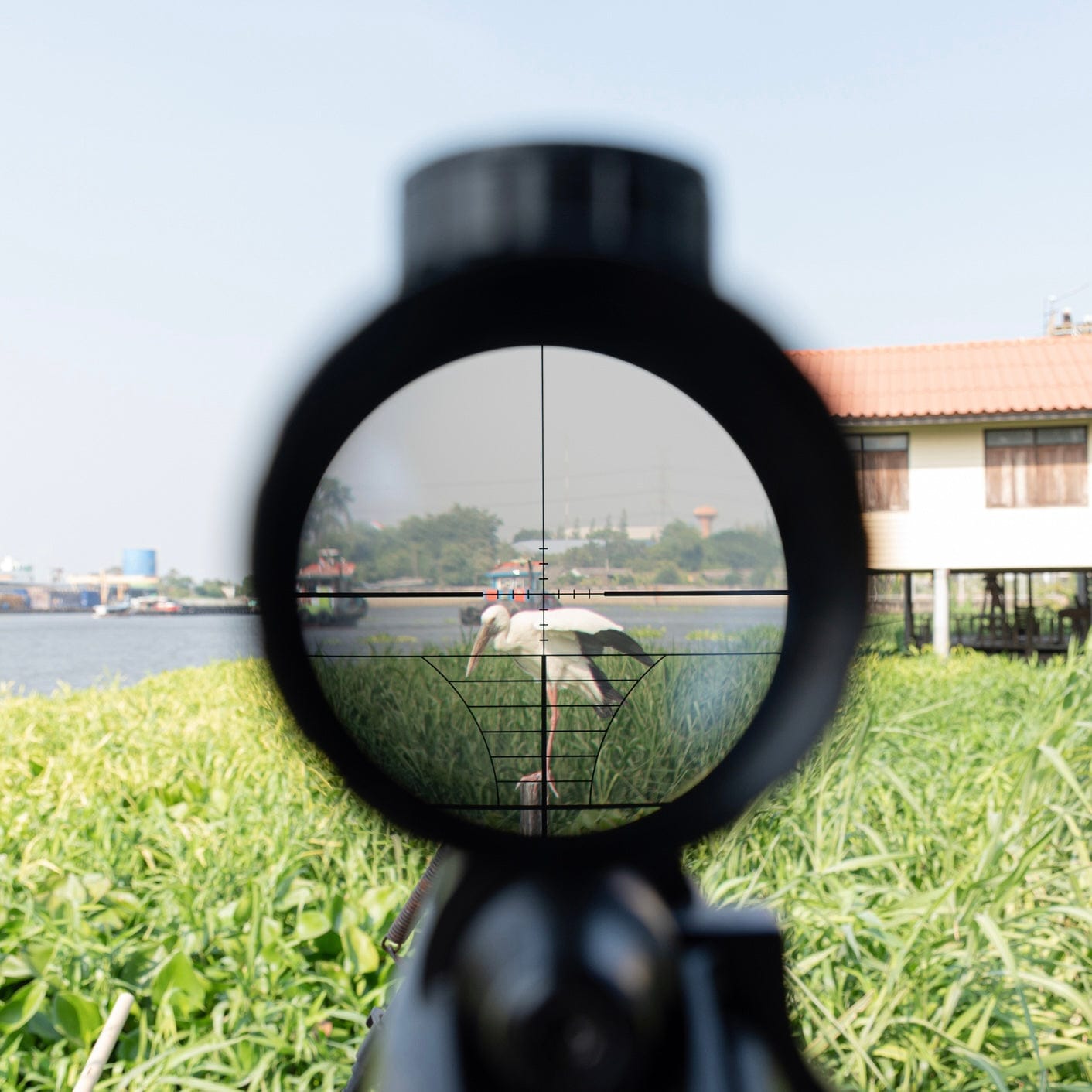 SFT2 ModScope (Multiple Options)